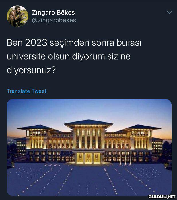 Sizce ?    Zingaro Bêkes...