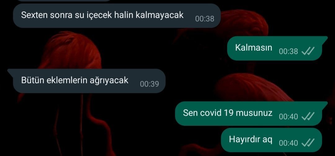 Sexten sonra su içecek...