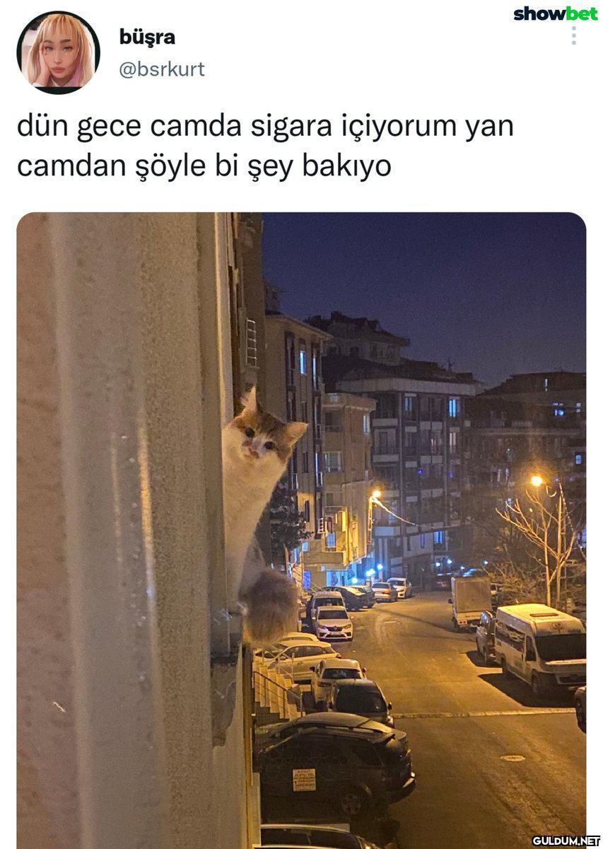 showbet büşra @bsrkurt dün...