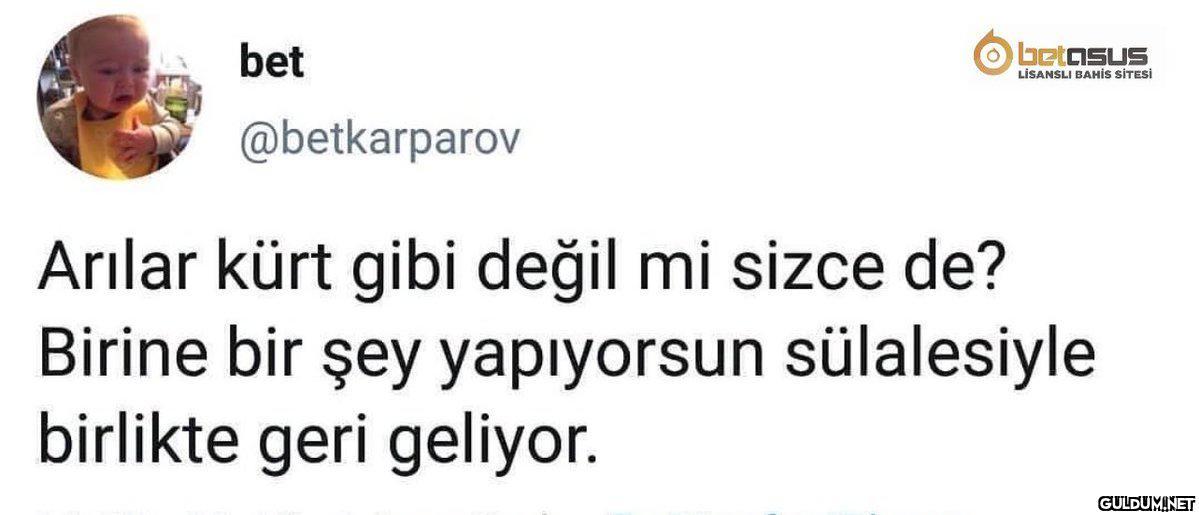 bet O betasuS LİSANSLI...