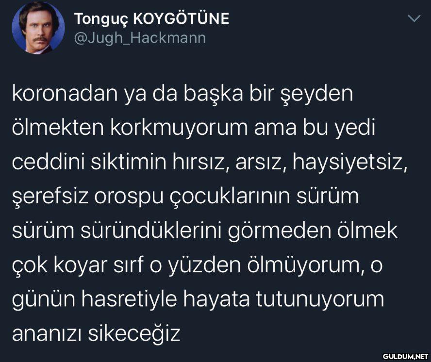 Tonguç KOYGÖTÜNE...