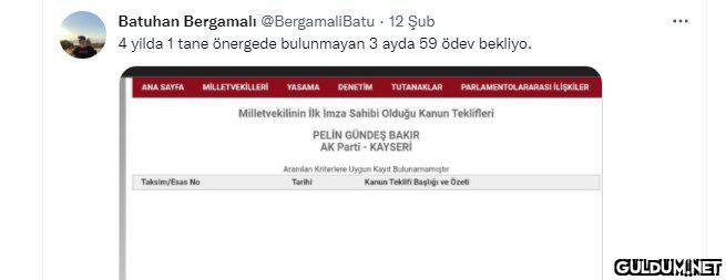 Prof.Dr.Pelin Gündeş...