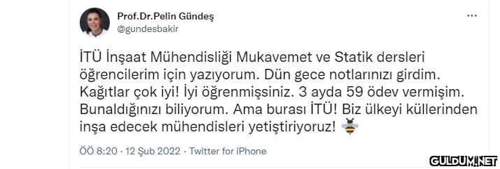 Prof.Dr.Pelin Gündeş...
