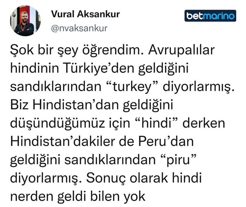 Vural Aksankur  ...