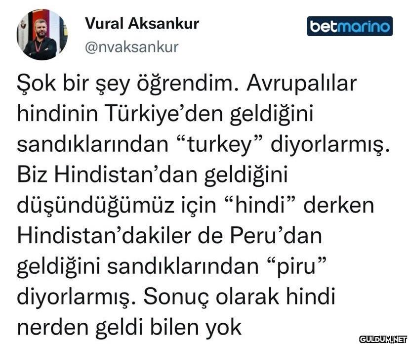 Vural Aksankur  ...
