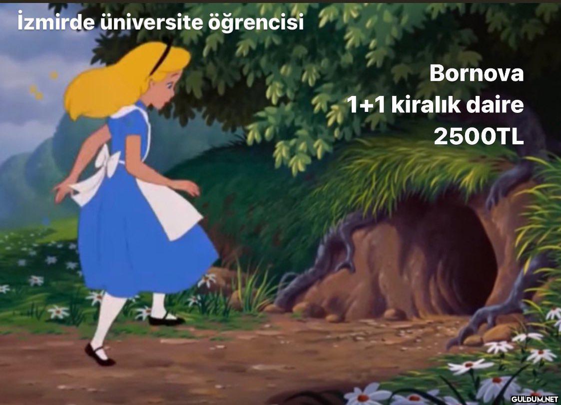 İzmirde üniversite...