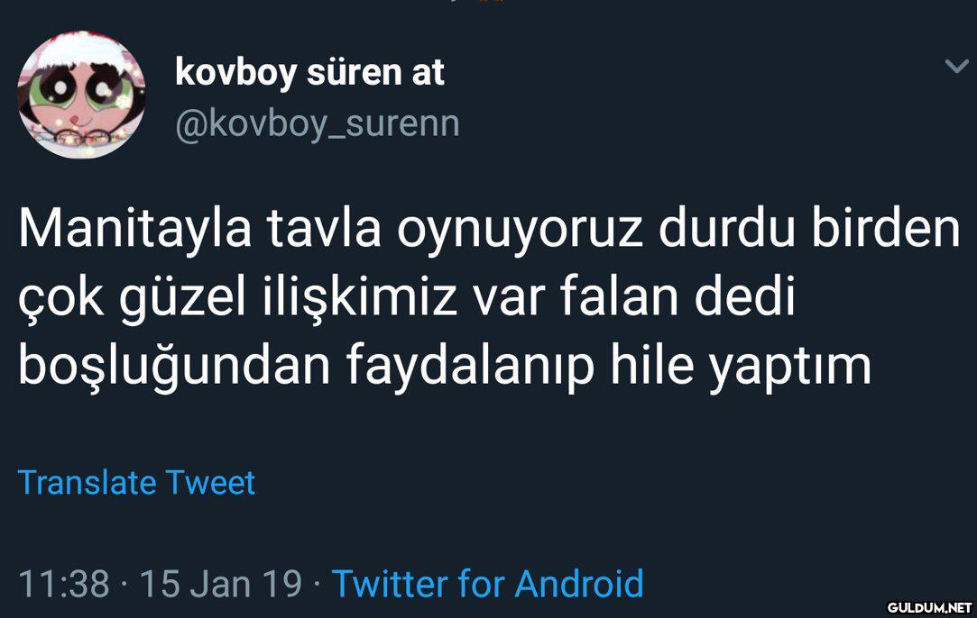 kovboy süren at...