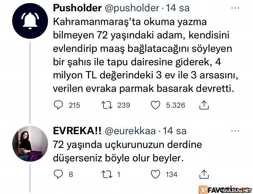 Pusholder @pusholder · 14...