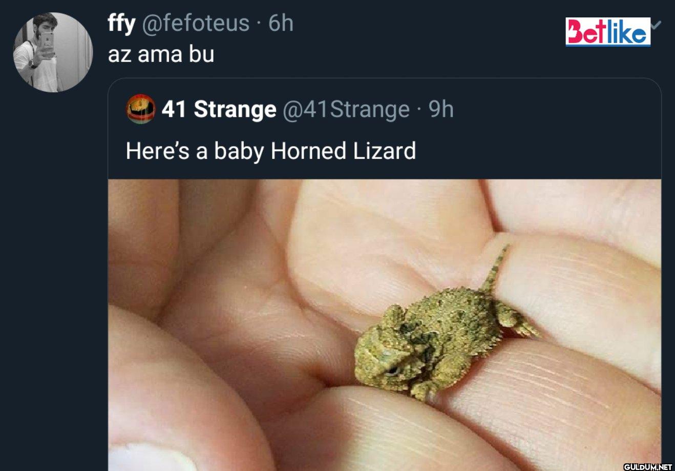 6h az ama bu 41 Strange...