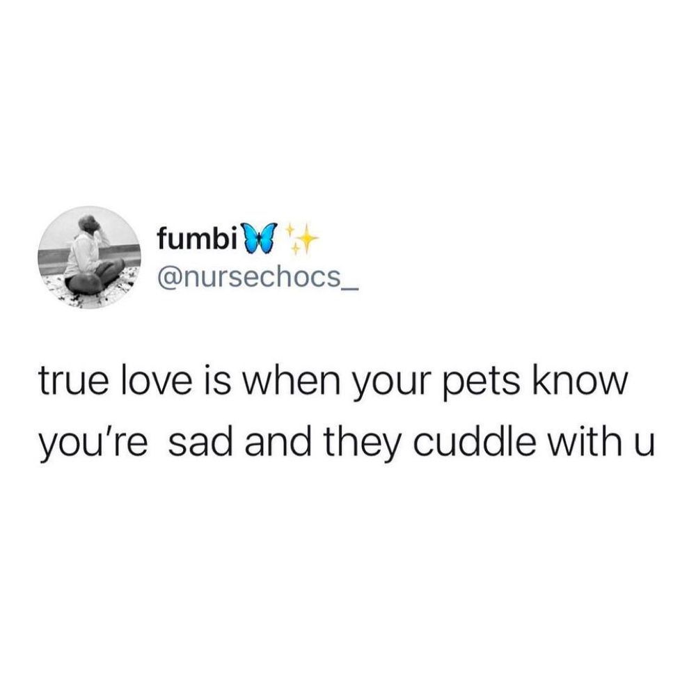 Animals > people by...