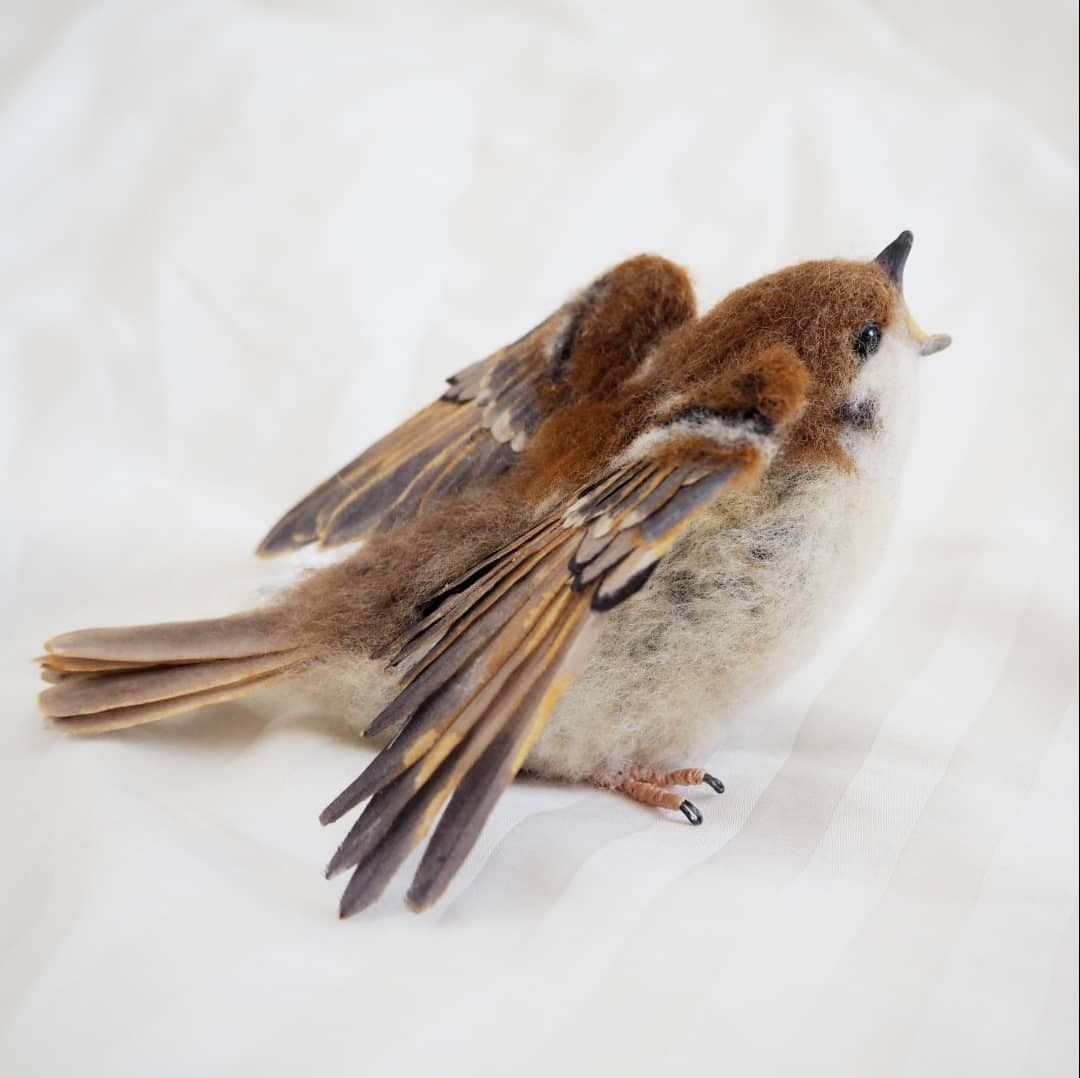 Cute needle felted birbs 📸...