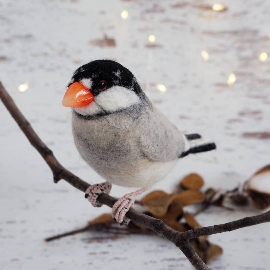Cute needle felted birbs 📸...