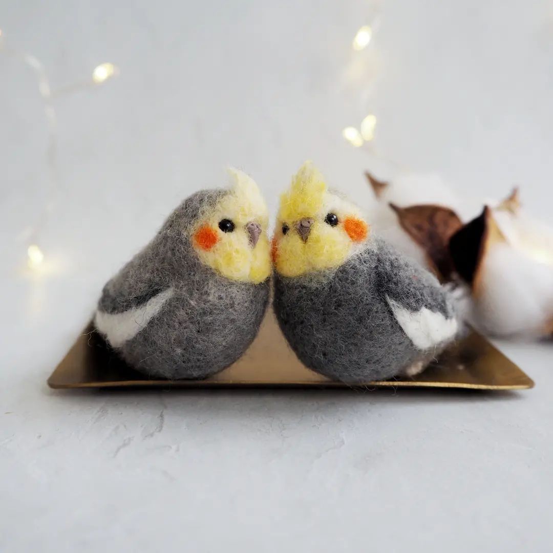 Cute needle felted birbs 📸...