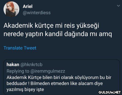 Ariel @winterdiess...