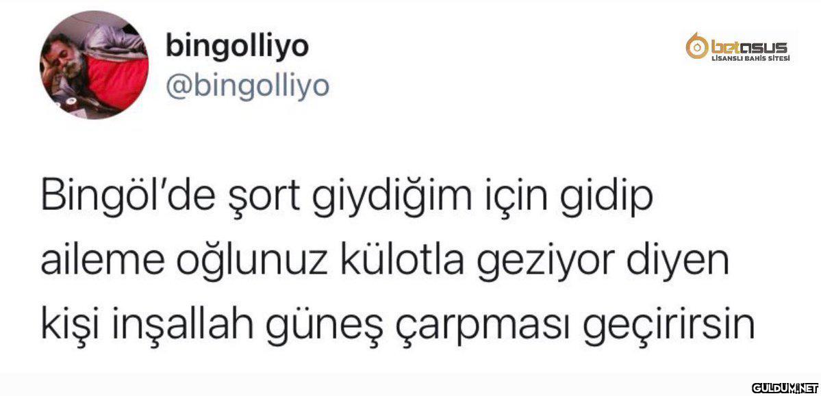 bingolliyo @bingolliyo O...