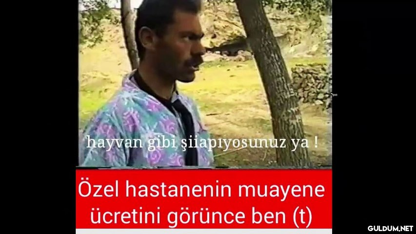 kaybolmasin...