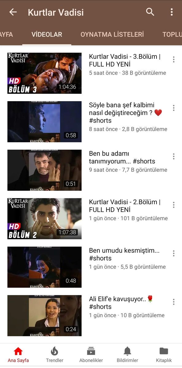 Kurtlar Vadisi eski...