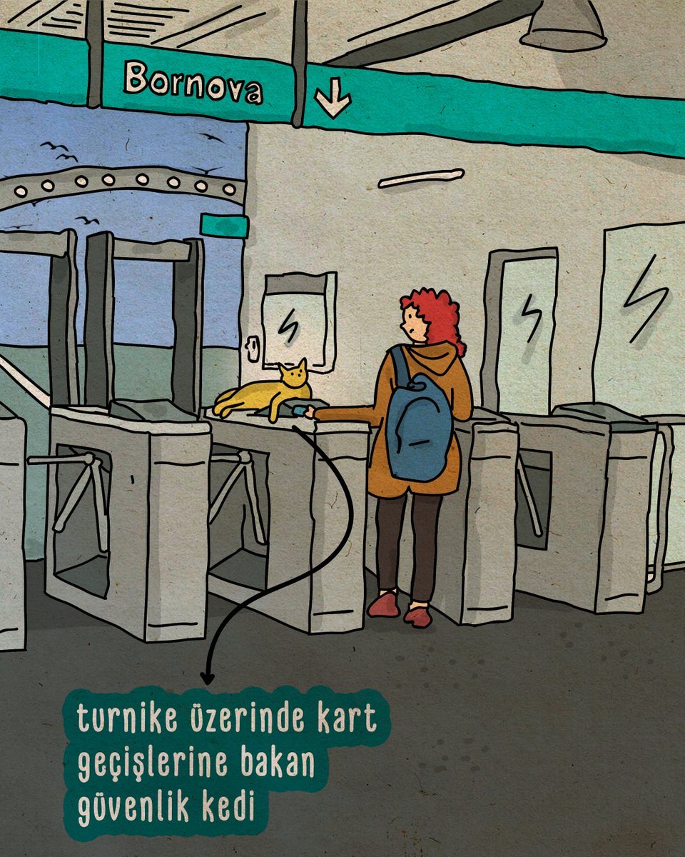 Kediler ve gizli görevleri...