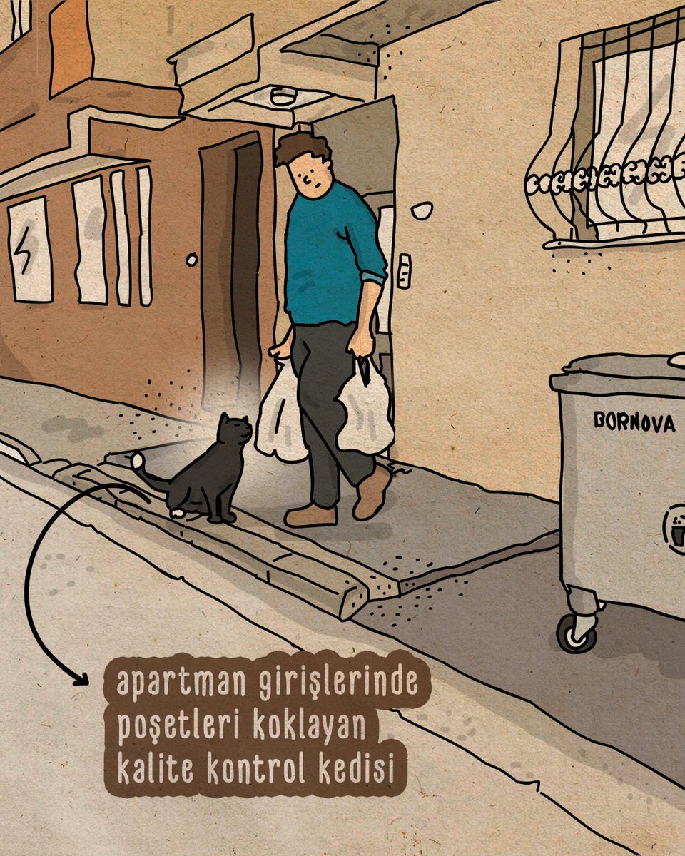 Kediler ve gizli görevleri...