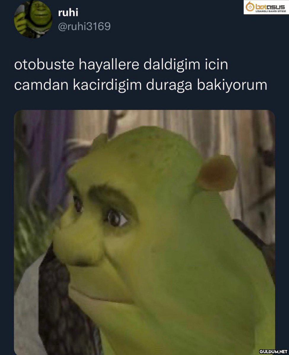 O betosuS ruhi LİSANSLI...