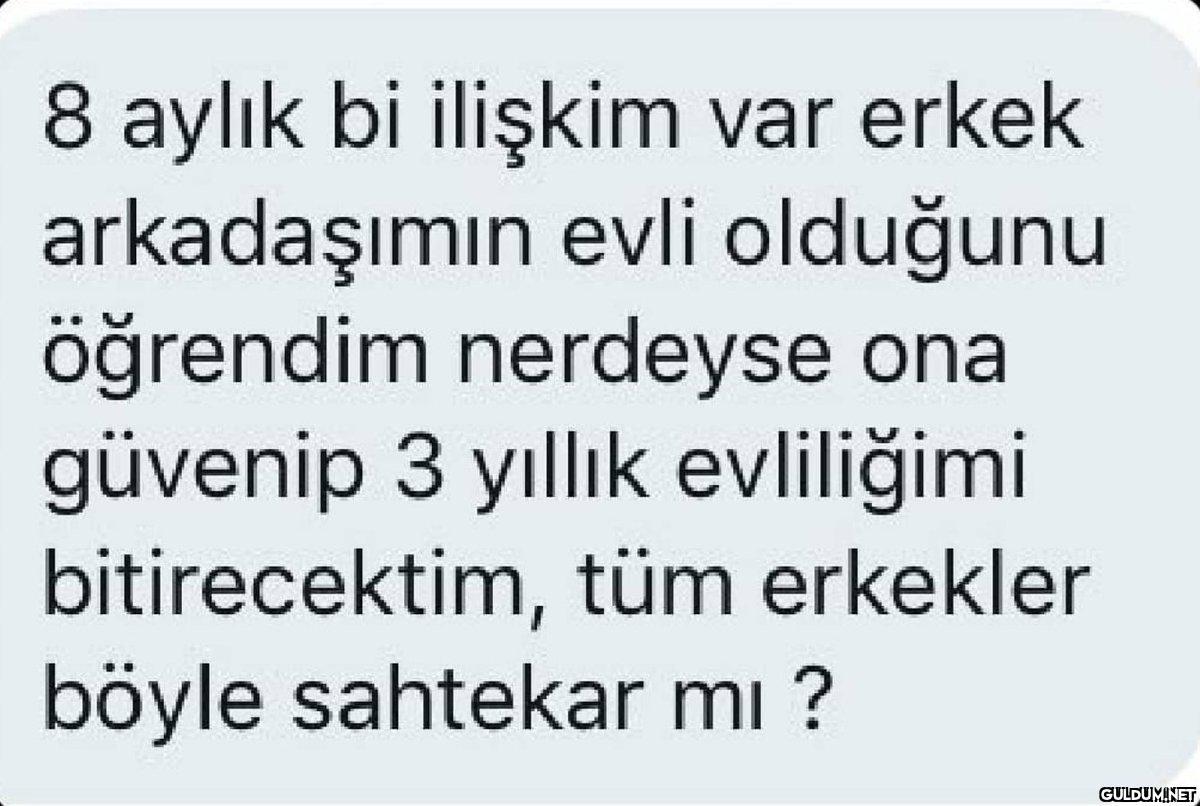 Ulan erkekler    8 aylık...