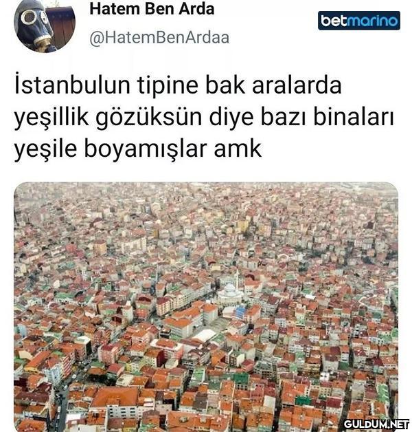 Hatem Ben Arda  ...