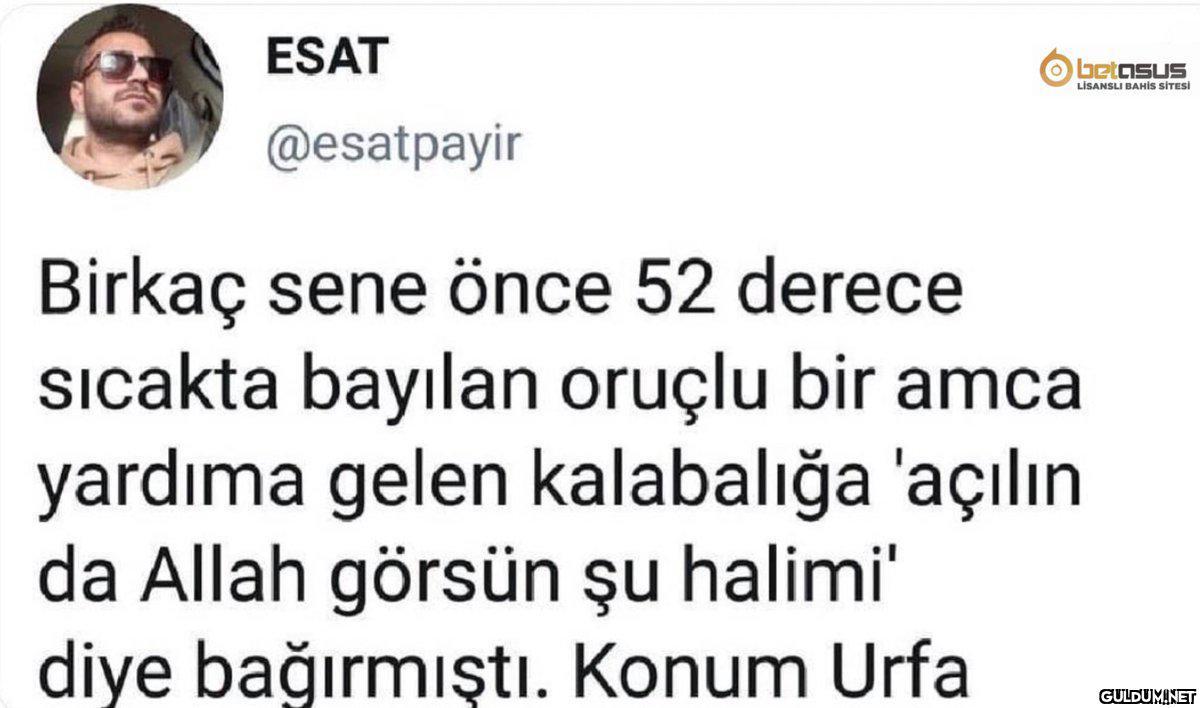 ESAT O betasus LİSANSLI...