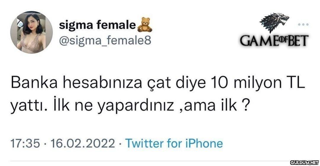 Ne yapardınız?  🤔    sigma...