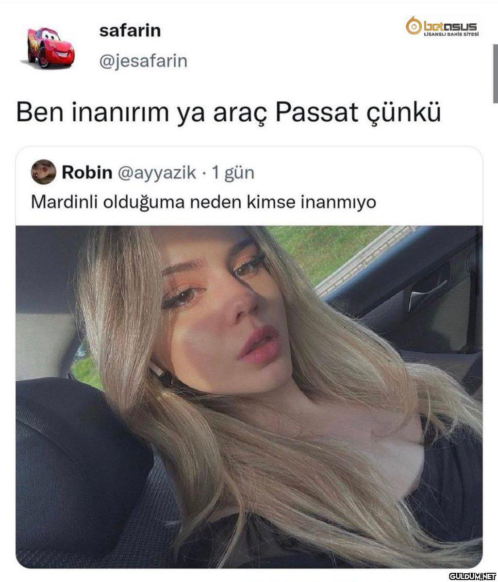 safarin O betnsus LİSANSLI...