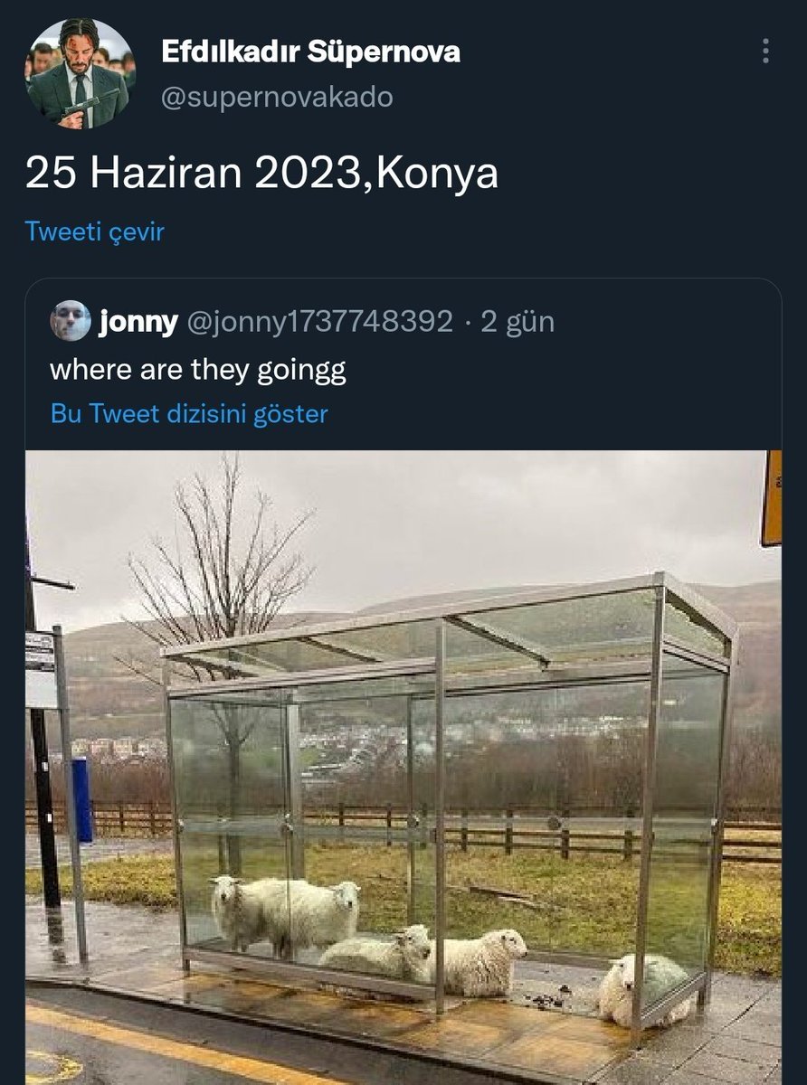 asfklsjskslsj   ...