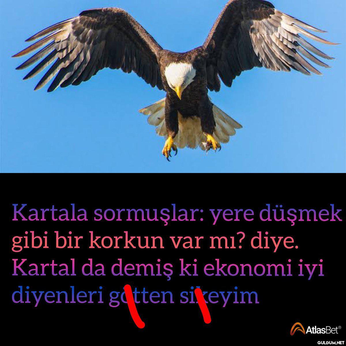 Kartala sormuşlar: yere...