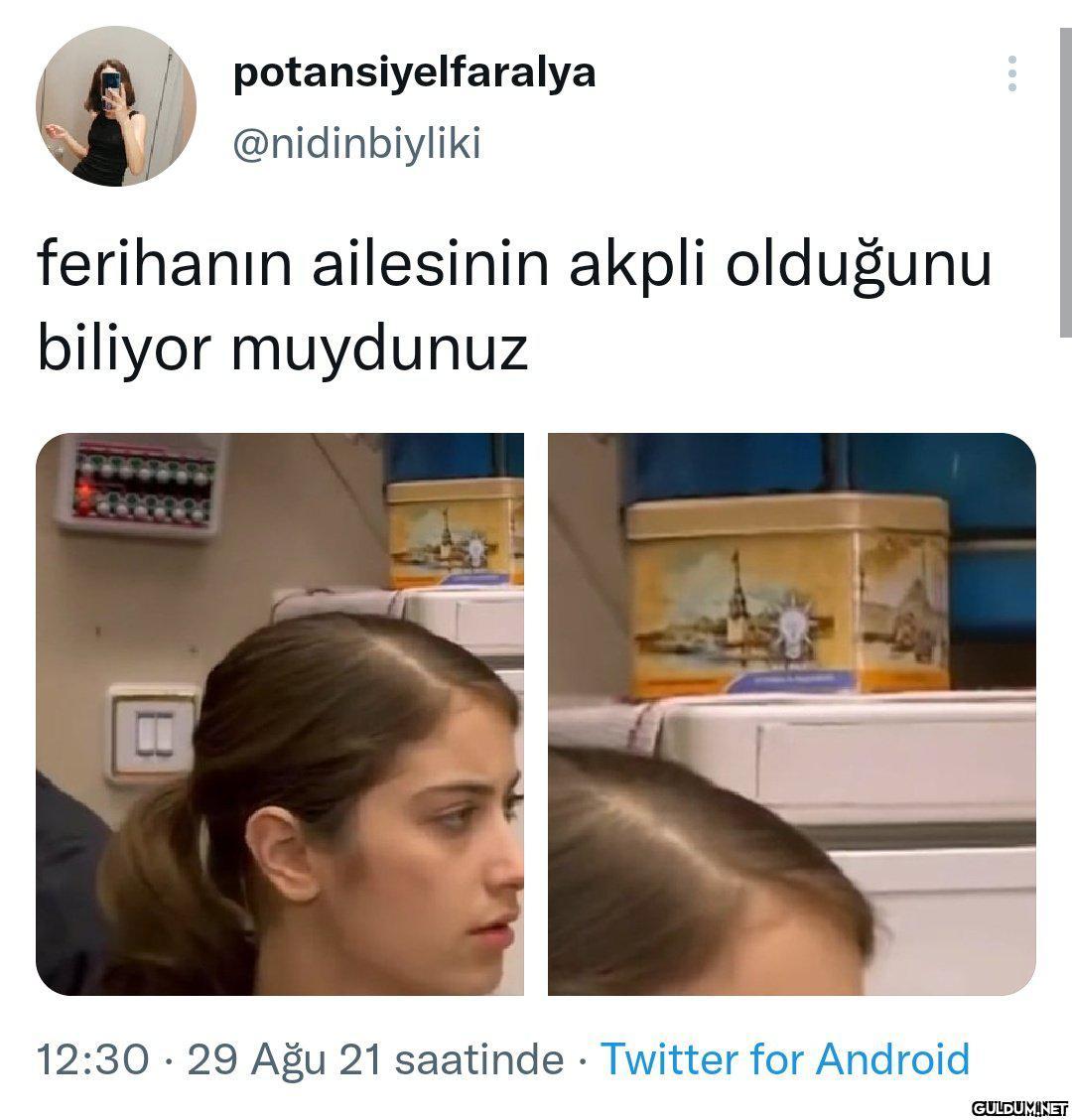 potansiyelfaralya...