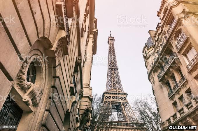 Benzer İşler Paris / Rize ...