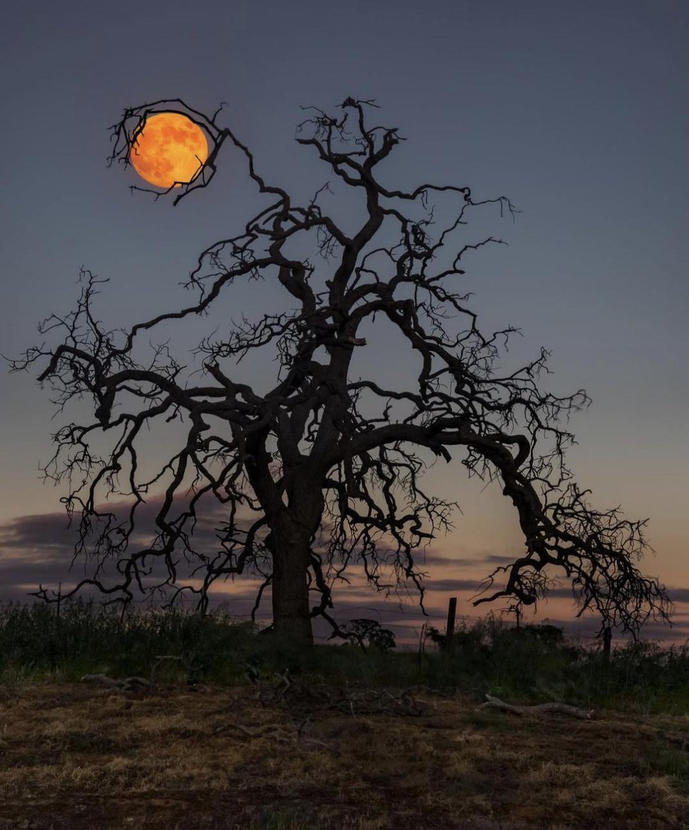 Ay'ı yakalamak🌕    Kaynak