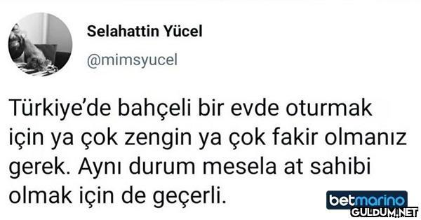 On numara tespit   ...