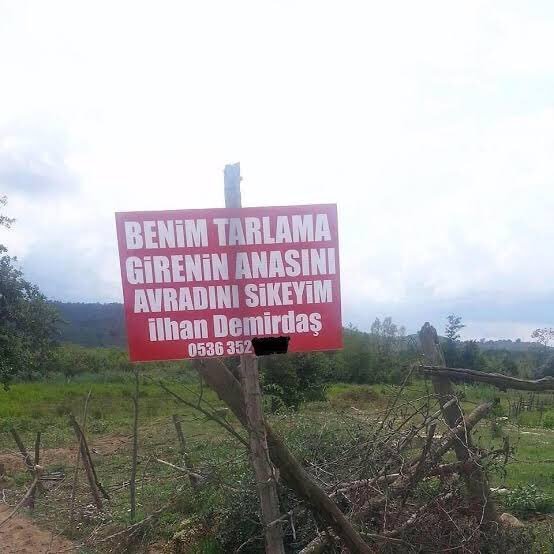 Anlık Ukrayna...