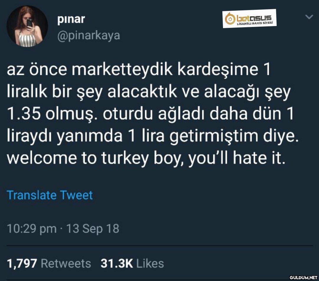 pinar betasus LİSANSLI...