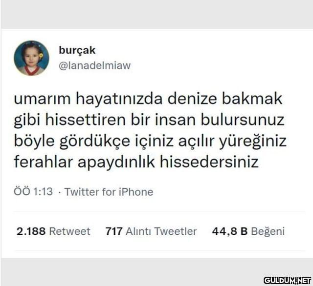 burçak @lanadelmiaw umarım...