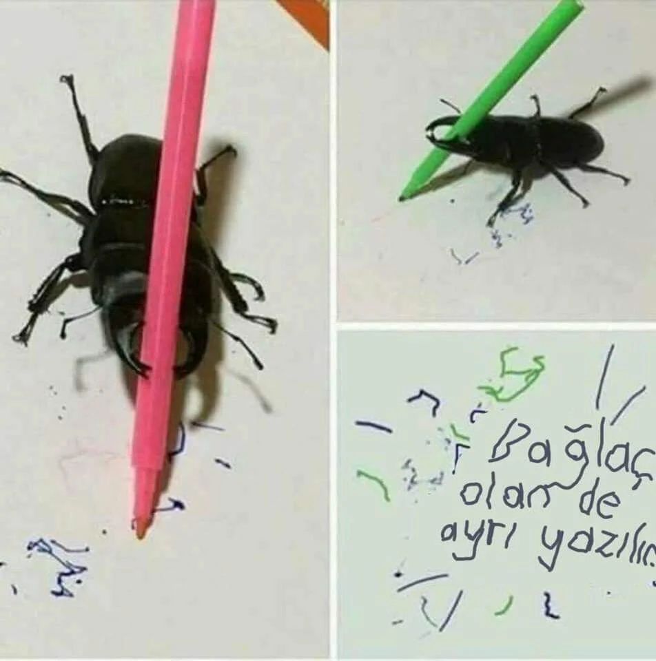 Bir sabah uyandığında...