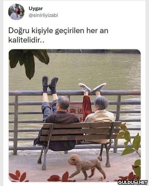 Uygar @sinirliyizabi Doğru...
