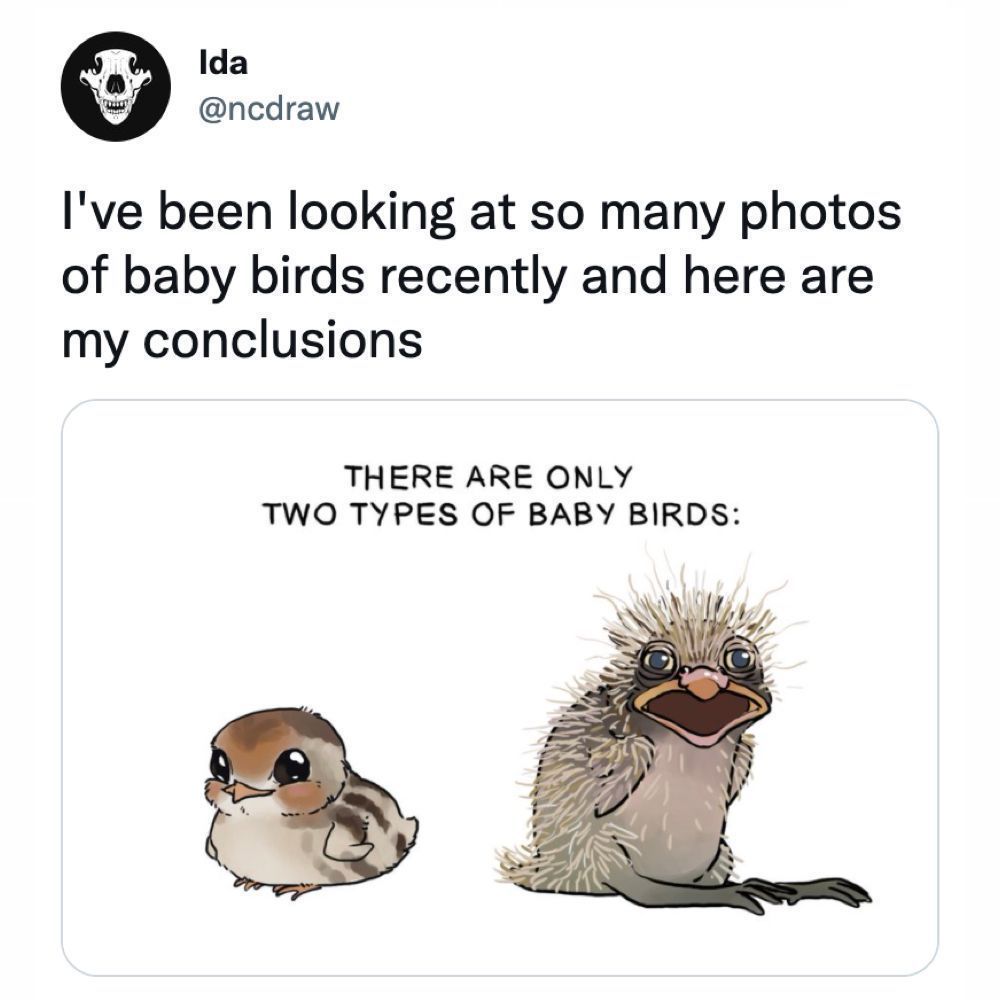 They are either cute or...