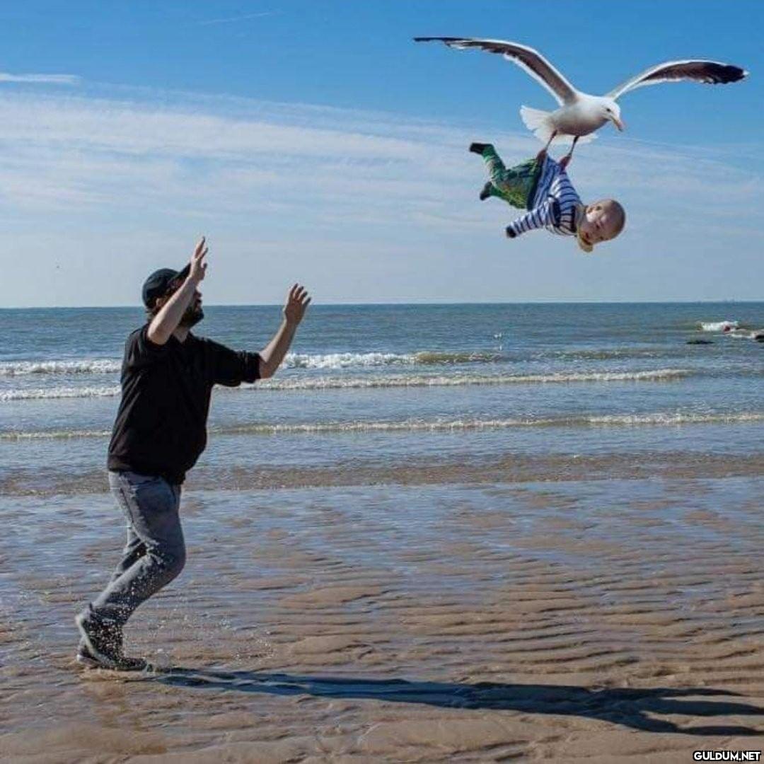 Çok iyi 😂 [📷...