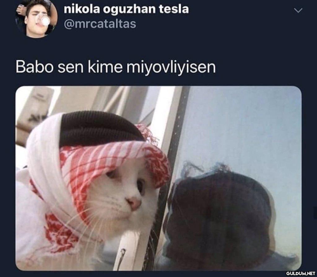 nikola oguzhan tesla...