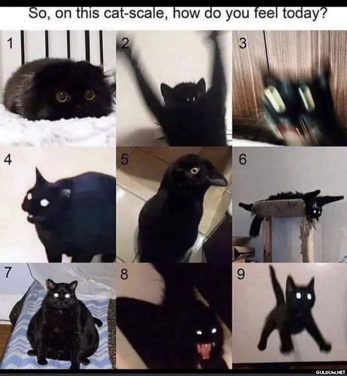 Popular post