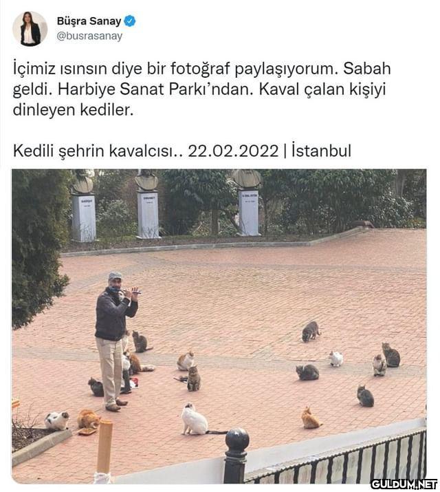 Büşra Sanay @busrasanay...