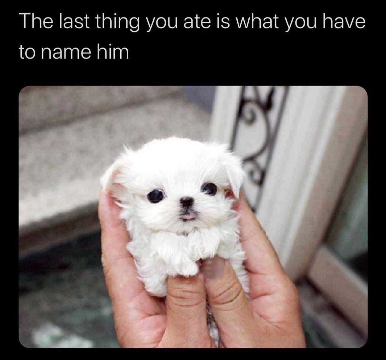 @eat_trsh 🥚  Kaynak