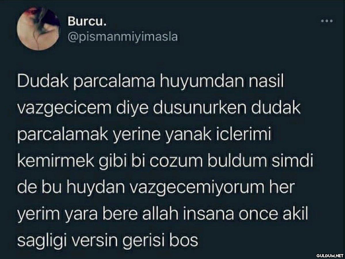 Burcu. @pismanmiyimasla...
