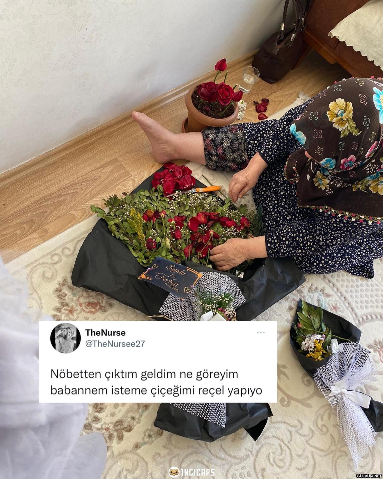 Seyda Ferhat TheNurse...