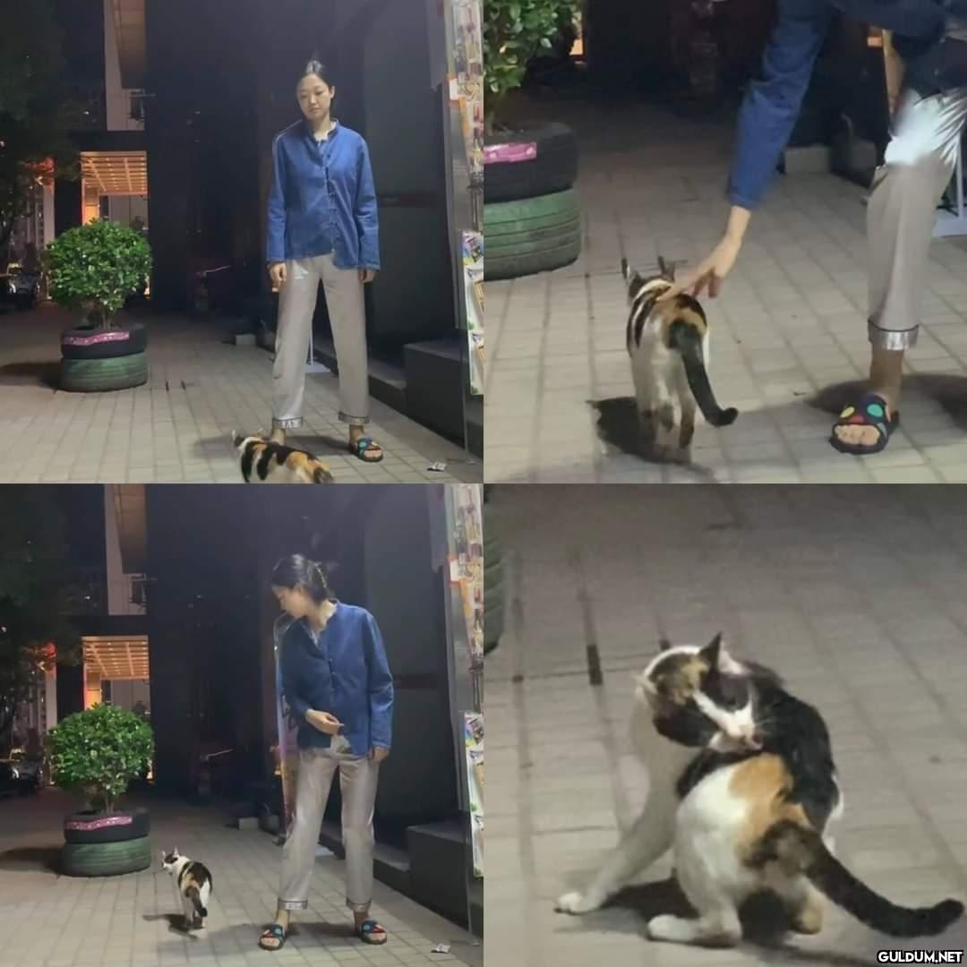 Hoşlanmadığım biriyle...
