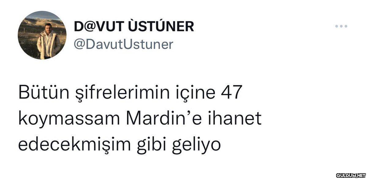 D@VUT ÙSTÚNER...